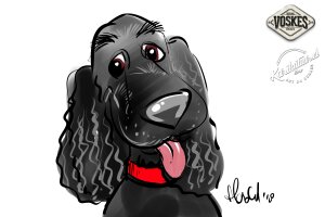 Animal Event Voskes 2 Animal Event Voskes 2